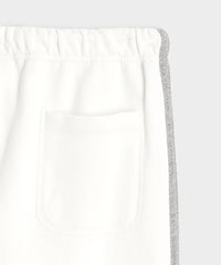 Champion Relaxed Fleece Striped Sweatpant